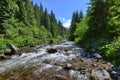 Foot bridge over the Somesul Rece river before the maguri-racatau dam. Royalty Free Stock Photo